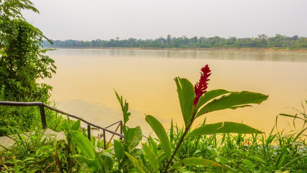 Amazon Planet Hotel Tambopata Exterior photo
