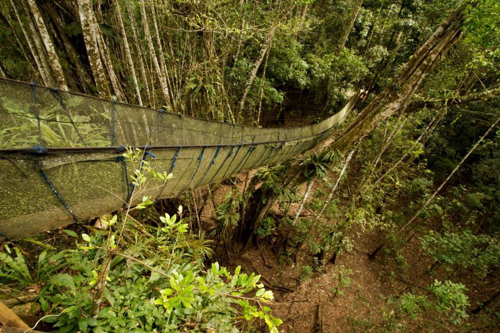 Amazon Planet Hotel Tambopata Exterior photo